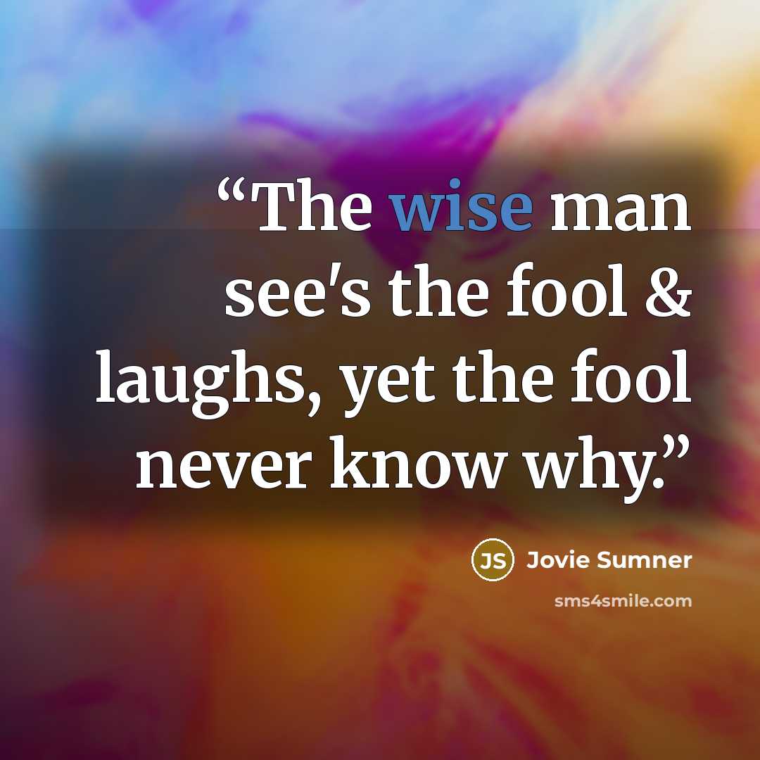 “The wise man see's the fool & laughs, yet the fool never know why.” quote by Jovie Sumner