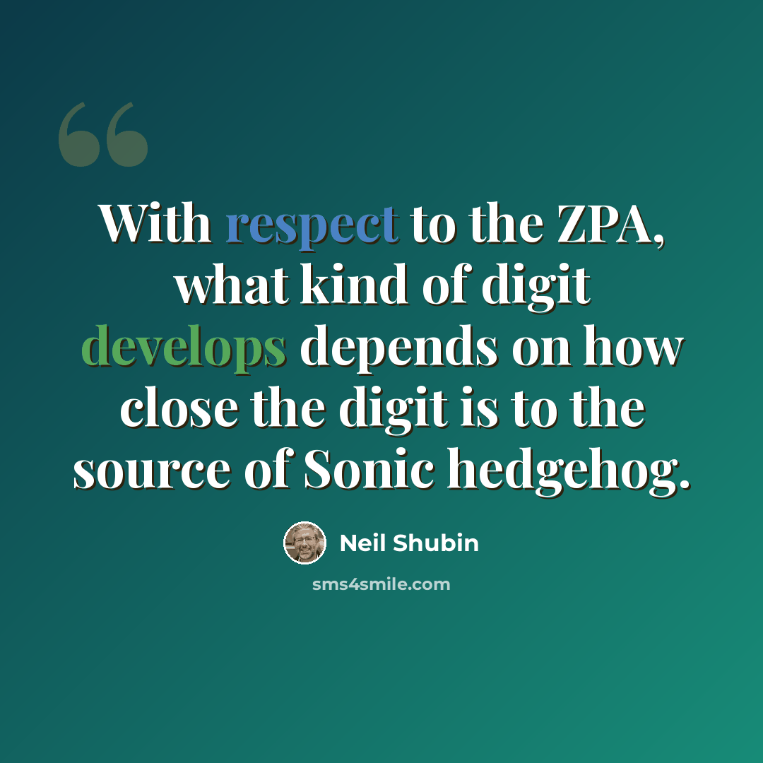 “With respect to the ZPA, what kind of digit develops depends on how close the digit is to the source of Sonic hedgehog.” quote by Neil Shubin