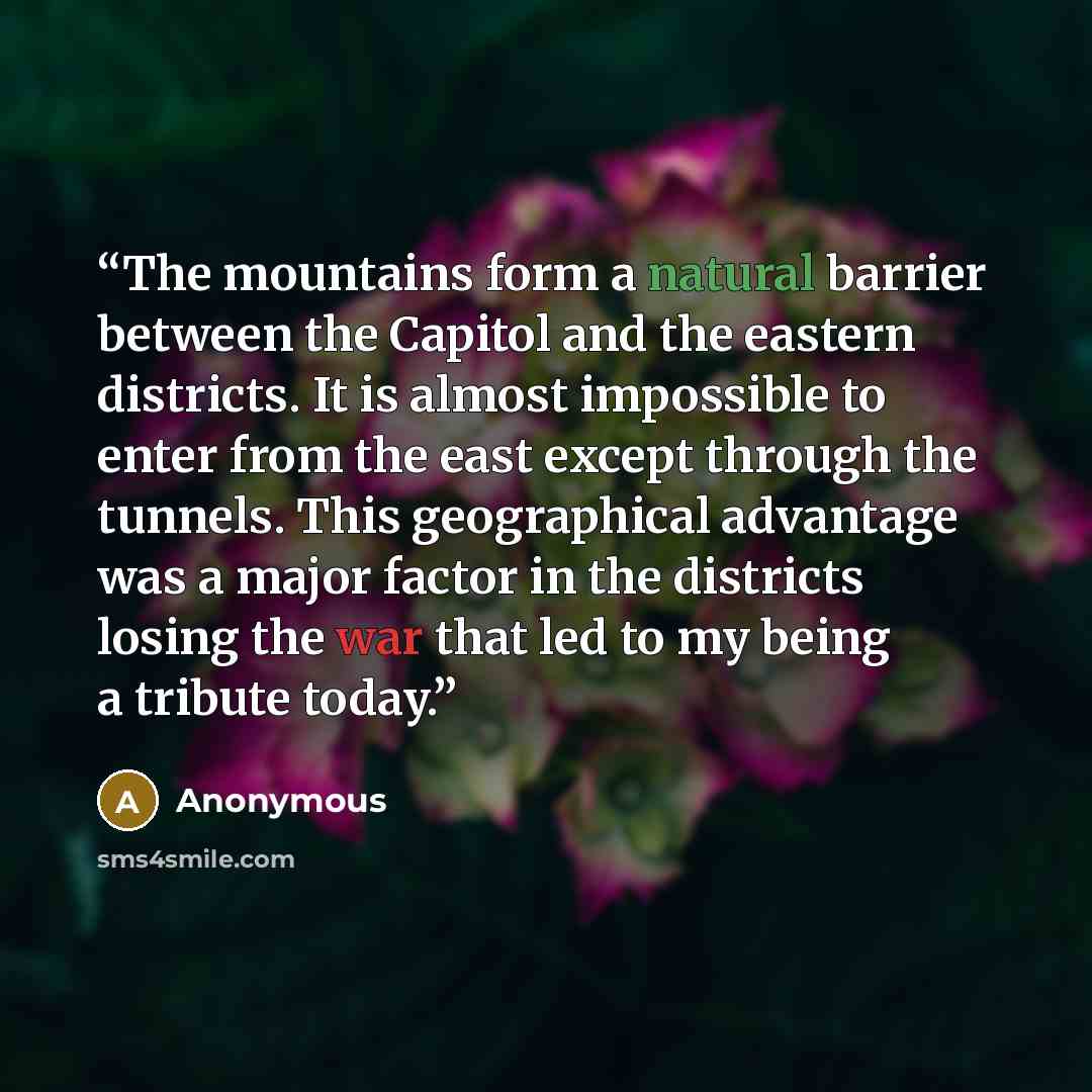 “The mountains form a natural barrier between the Capitol and the eastern districts. It is almost impossible to enter from the east except through the tunnels. This geographical advantage was a major factor in the districts losing the war that led to my being a tribute today.” quote by Anonymous