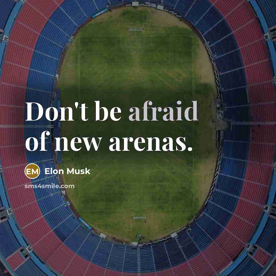 “Don't be afraid of new arenas.” quote by Elon Musk