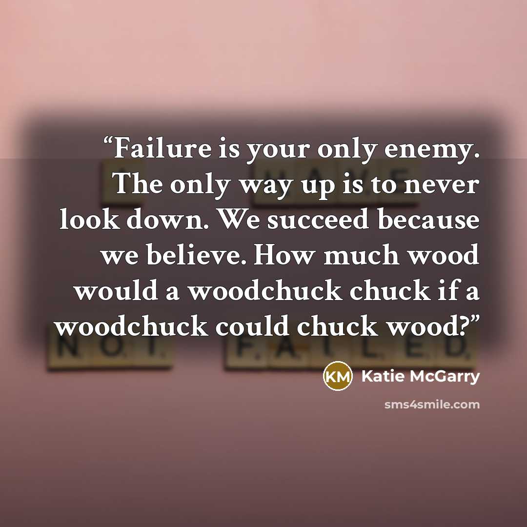 “Failure is your only enemy. The only way up is to never look down. We succeed because we believe. How much wood would a woodchuck chuck if a woodchuck could chuck wood?” quote by Katie McGarry