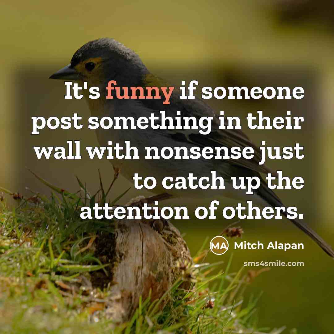 “It's funny if someone post something in their wall with nonsense just to catch up the attention of others.” quote by Mitch Alapan
