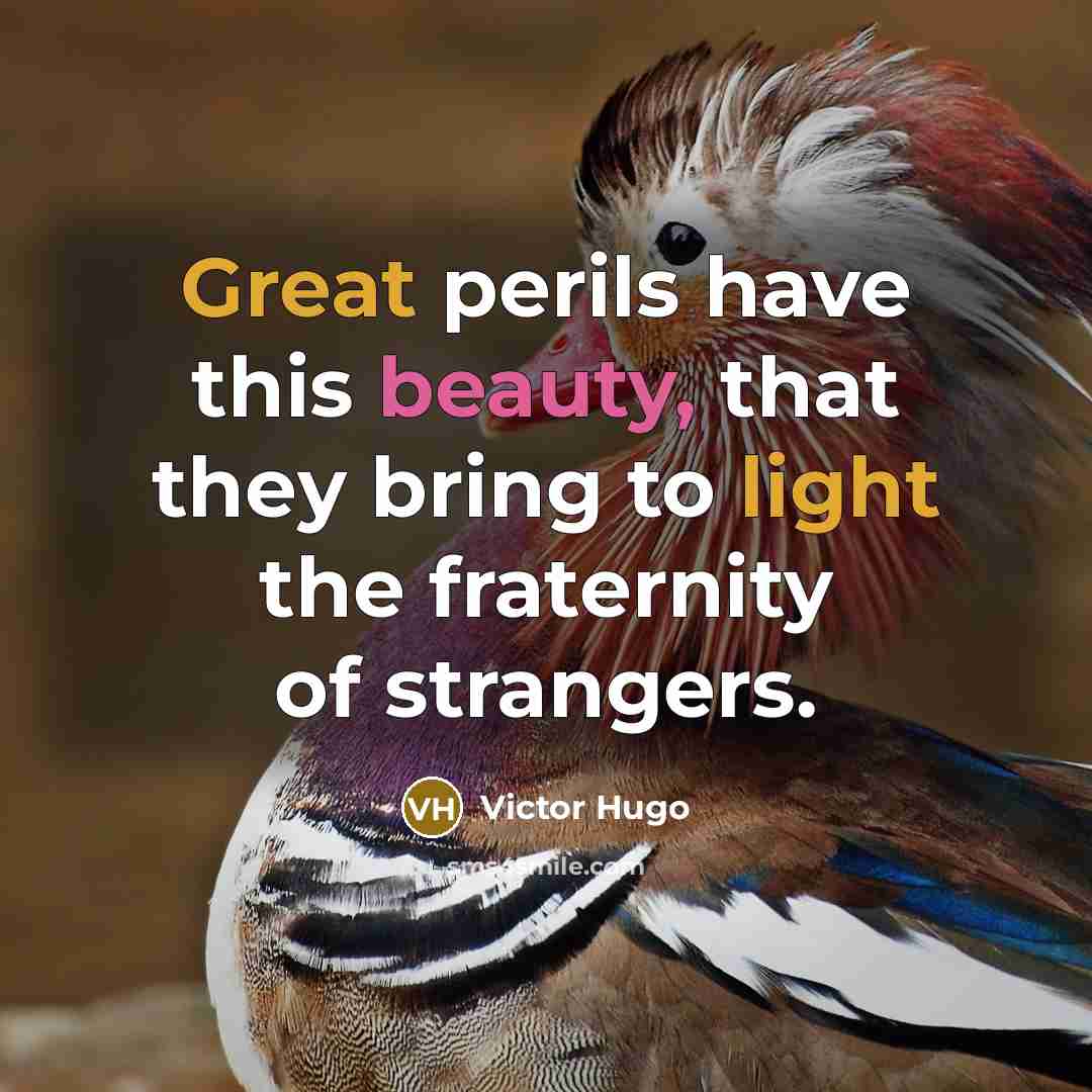 “Great perils have this beauty, that they bring to light the fraternity of strangers.” quote by Victor Hugo