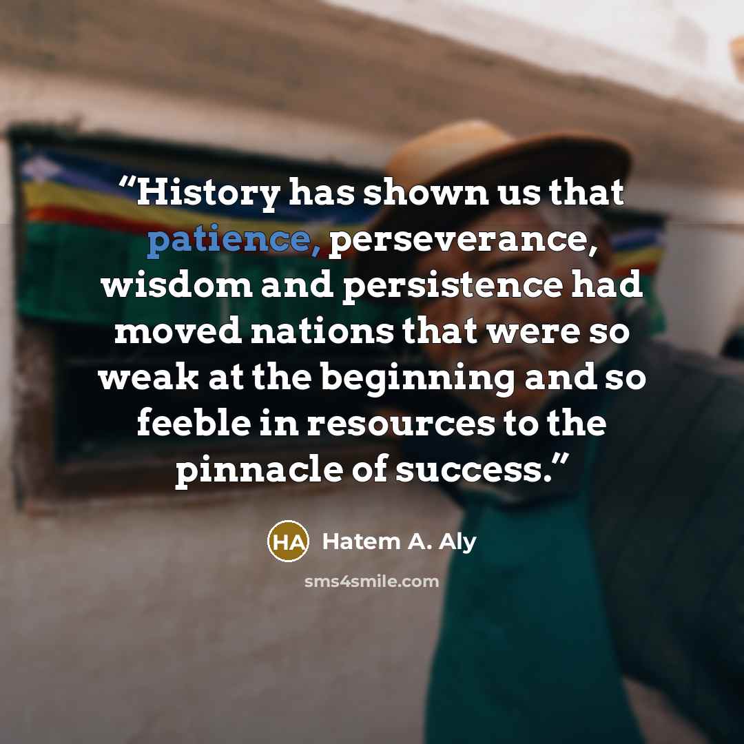 “History has shown us that patience, perseverance, wisdom and persistence had moved nations that were so weak at the beginning and so feeble in resources to the pinnacle of success.” quote by Hatem A. Aly