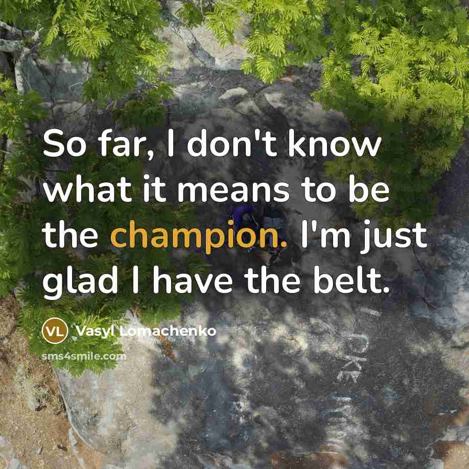 “So far, I don't know what it means to be the champion. I'm just glad I have the belt.” quote by Vasyl Lomachenko