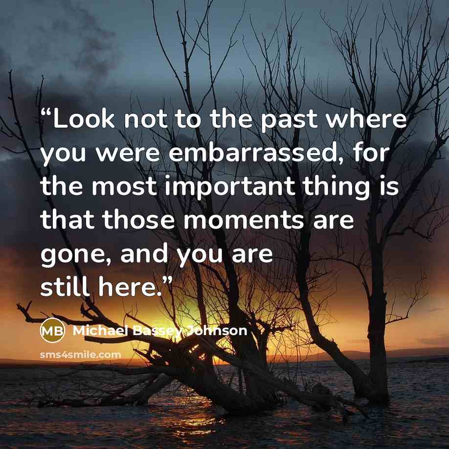 “Look not to the past where you were embarrassed, for the most important thing is that those moments are gone, and you are still here.” quote by Michael Bassey Johnson