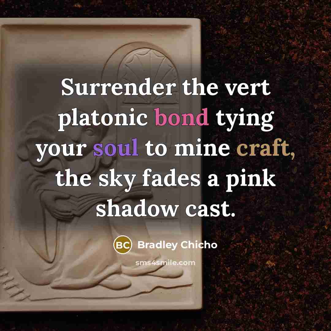 “Surrender the vert platonic bond tying your soul to mine craft, the sky fades a pink shadow cast.” quote by Bradley Chicho
