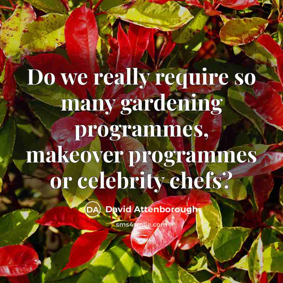 “Do we really require so many gardening programmes, makeover programmes or celebrity chefs?” quote by David Attenborough