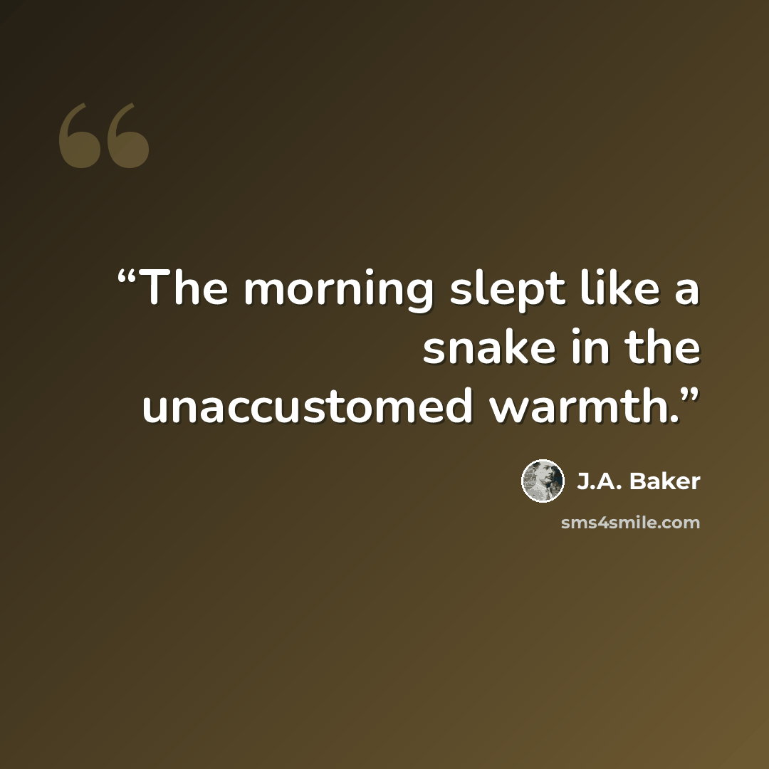 “The morning slept like a snake in the unaccustomed warmth.” quote by J.A. Baker