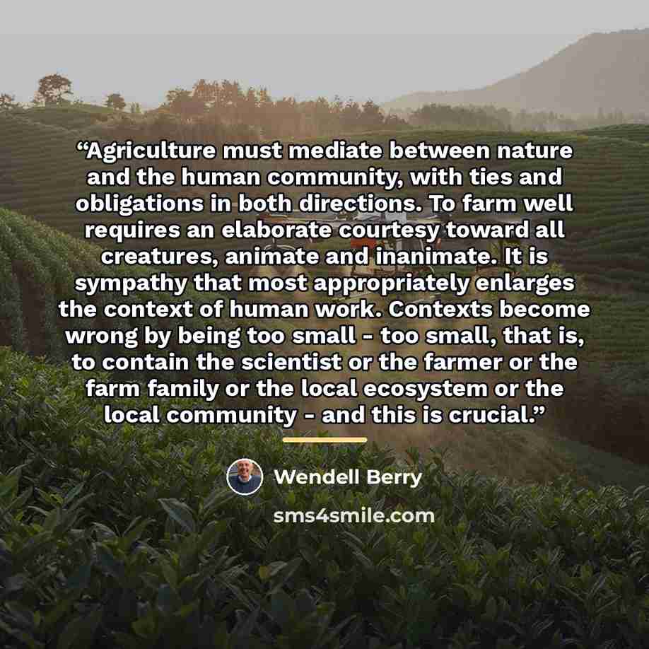 “Agriculture must mediate between nature and the human community, with ties and obligations in both directions. To farm well requires an elaborate courtesy toward all creatures, animate and inanimate. It is sympathy that most appropriately enlarges the context of human work. Contexts become wrong…” quote by Wendell Berry