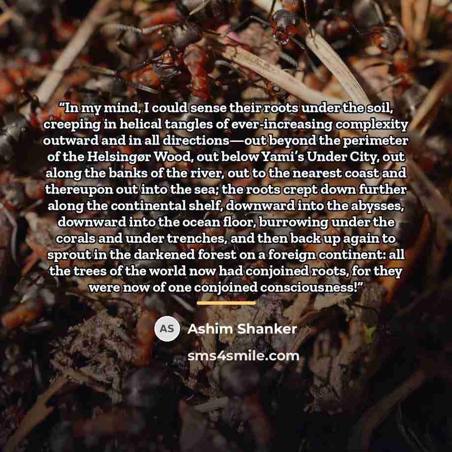 “In my mind, I could sense their roots under the soil, creeping in helical tangles of ever-increasing complexity outward and in all directions—out beyond the perimeter of the Helsingør Wood, out below Yami’s Under City, out along the banks of the river, out to the nearest coast and thereupon out…” quote by Ashim Shanker