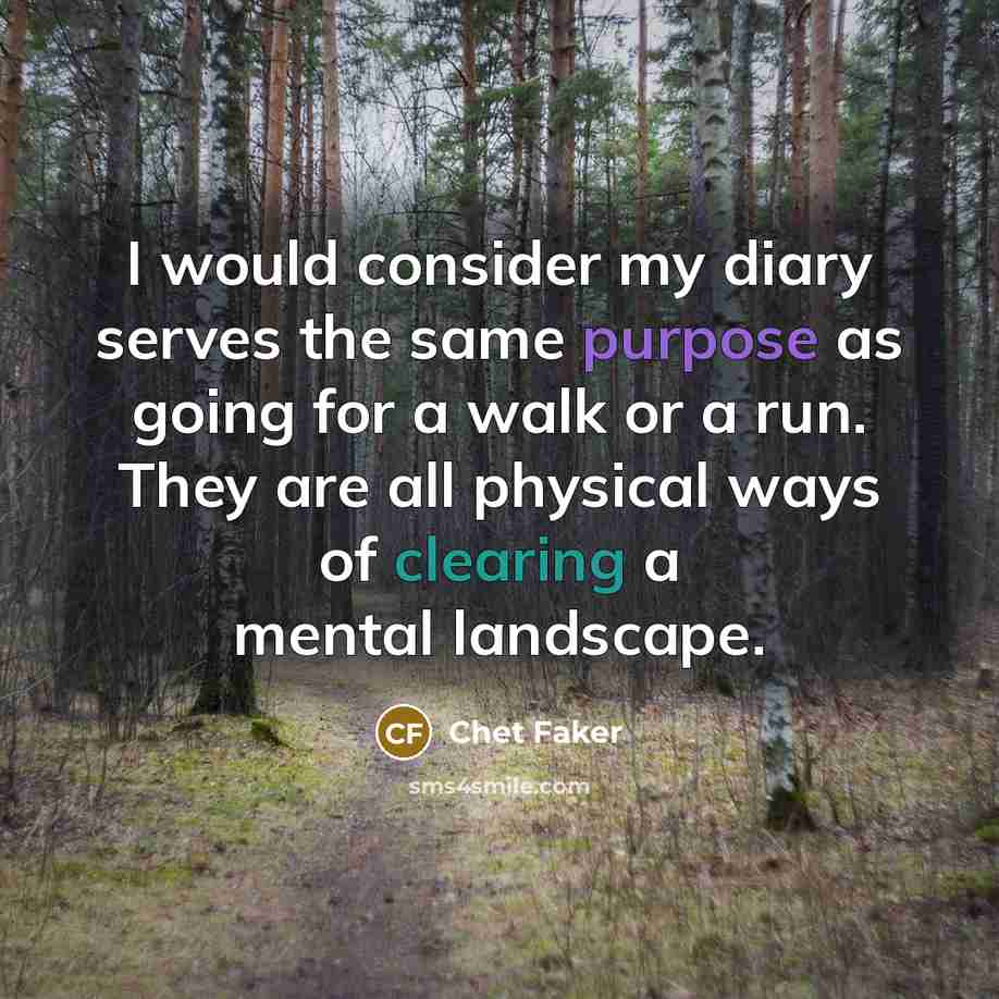 “I would consider my diary serves the same purpose as going for a walk or a run. They are all physical ways of clearing a mental landscape.” quote by Chet Faker