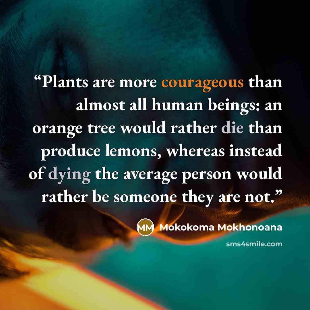 “Plants are more courageous than almost all human beings: an orange tree would rather die than produce lemons, whereas instead of dying the average person would rather be someone they are not.” quote by Mokokoma Mokhonoana