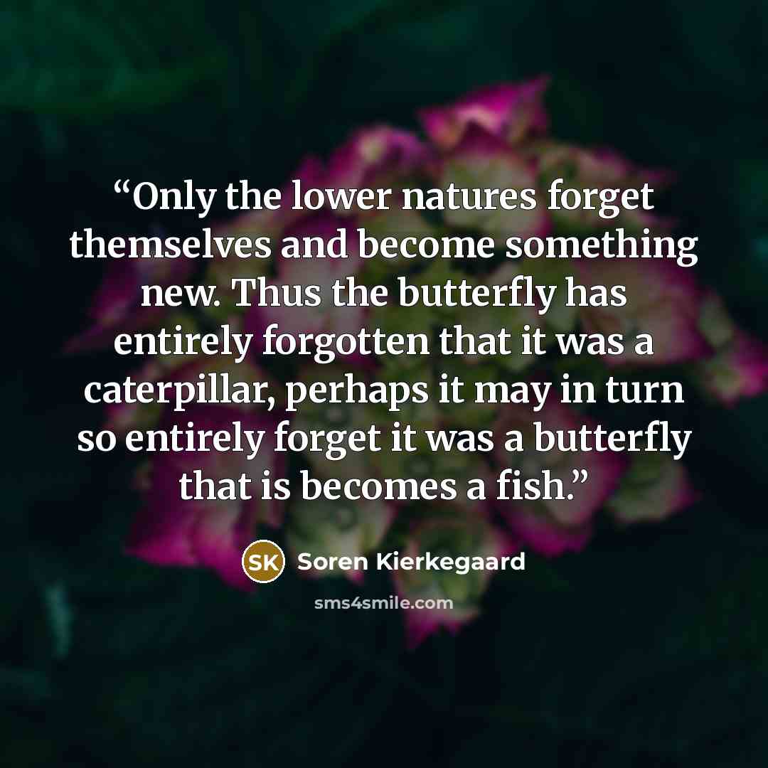 “Only the lower natures forget themselves and become something new. Thus the butterfly has entirely forgotten that it was a caterpillar, perhaps it may in turn so entirely forget it was a butterfly that is becomes a fish.” quote by Soren Kierkegaard