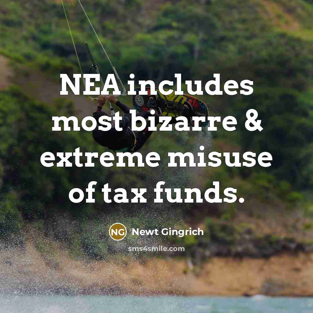 “NEA includes most bizarre & extreme misuse of tax funds.” quote by Newt Gingrich