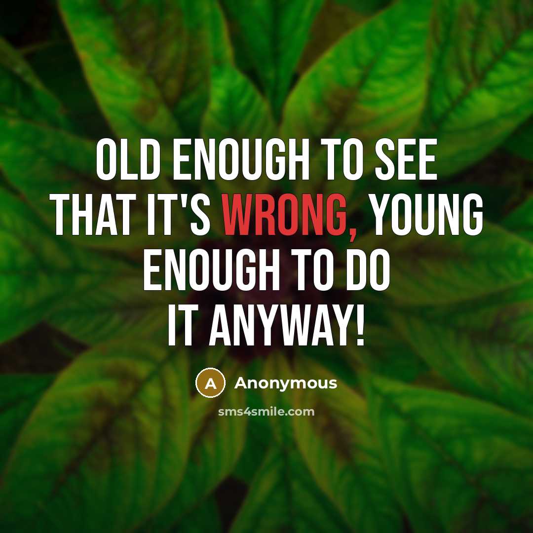 “Old enough to see that it's wrong, young enough to do it anyway!” quote by Anonymous