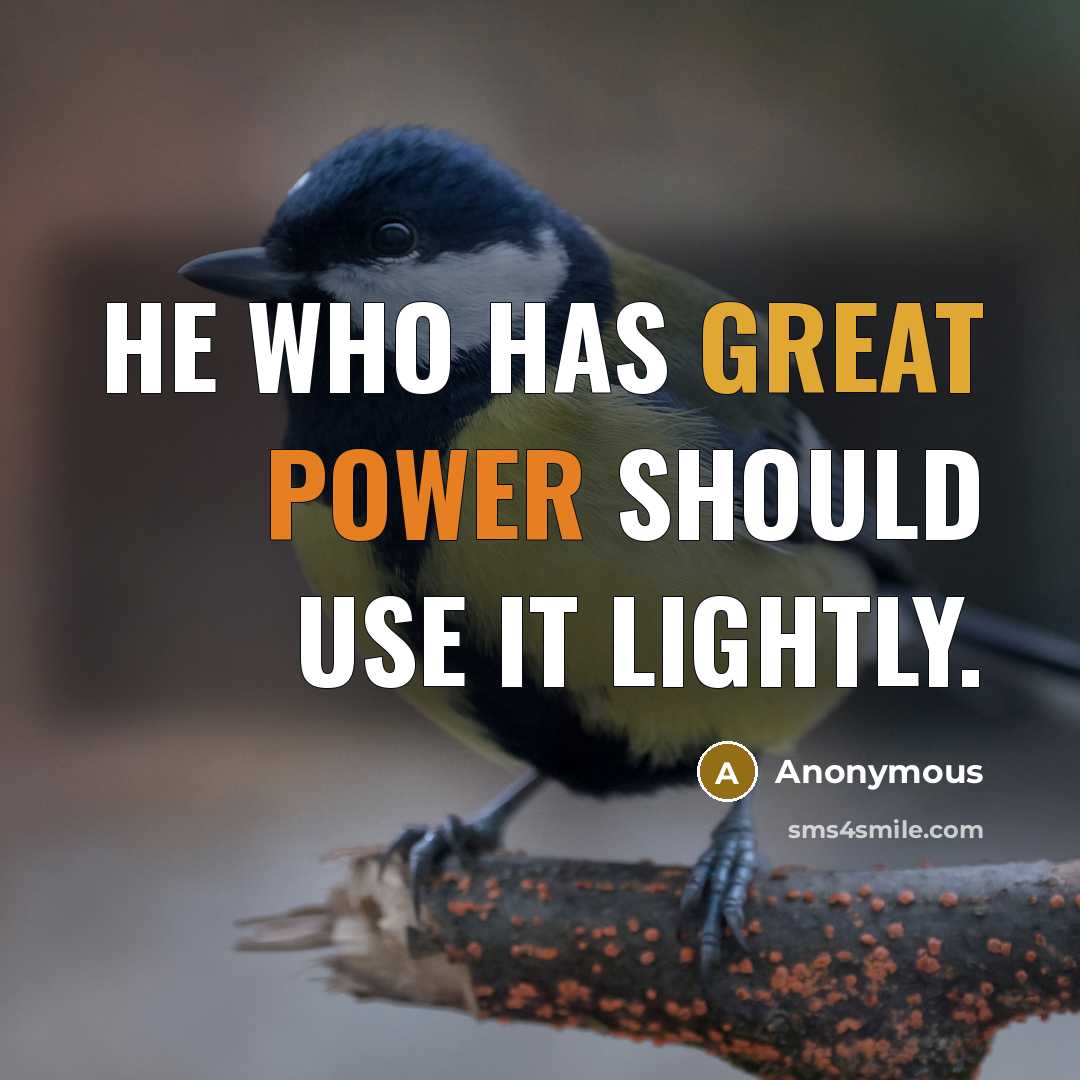 “He who has great power should use it lightly.” quote by Anonymous