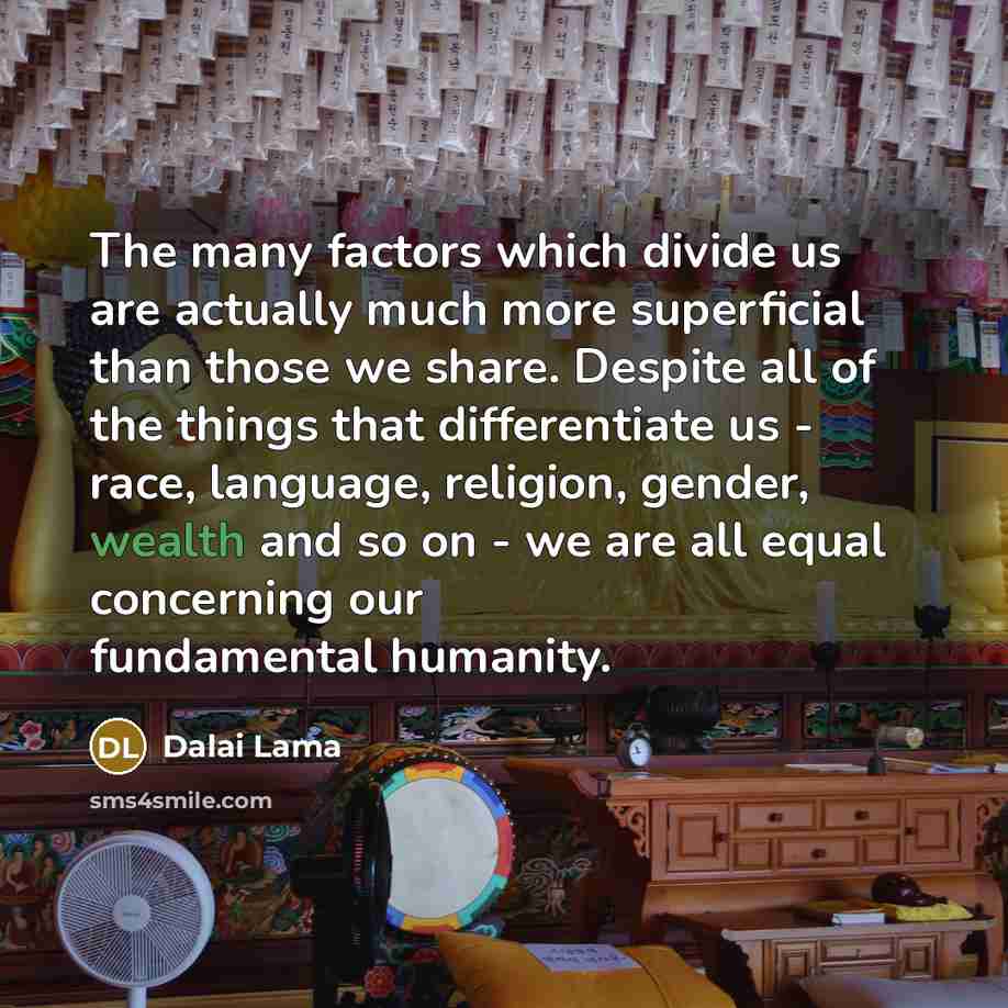 “The many factors which divide us are actually much more superficial than those we share. Despite all of the things that differentiate us - race, language, religion, gender, wealth and so on - we are all equal concerning our fundamental humanity.” quote by Dalai Lama
