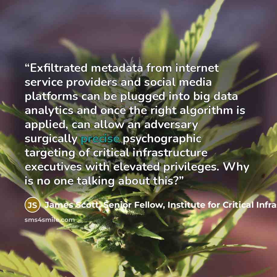 “Exfiltrated metadata from internet service providers and social media platforms can be plugged into big data analytics and once the right algorithm is applied, can allow an adversary surgically precise psychographic targeting of critical infrastructure executives with elevated privileges. Why is…” quote by James Scott, Senior Fellow, Institute for Critical Infrastructure Technology