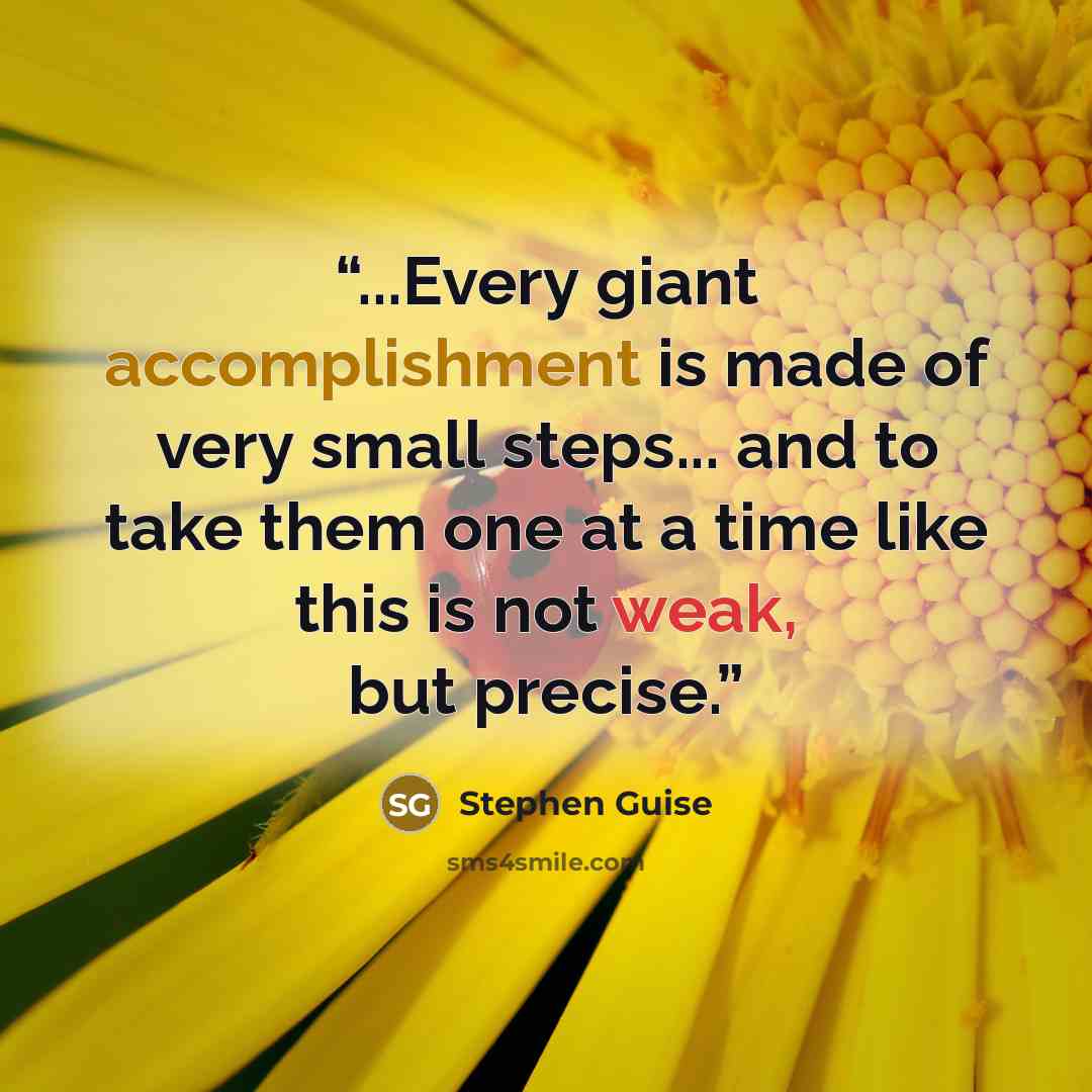 “...Every giant accomplishment is made of very small steps... and to take them one at a time like this is not weak, but precise.” quote by Stephen Guise