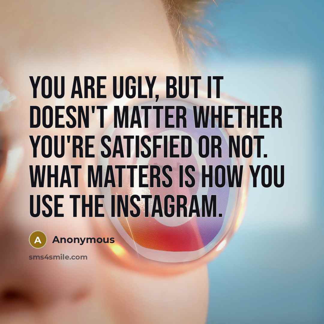 “You are ugly, but it doesn't matter whether you're satisfied or not. What matters is how you use the Instagram.” quote by Anonymous