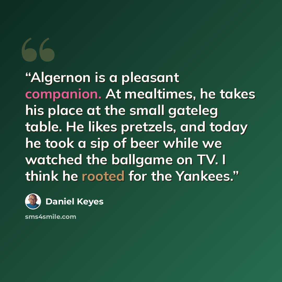 “Algernon is a pleasant companion. At mealtimes, he takes his place at the small gateleg table. He likes pretzels, and today he took a sip of beer while we watched the ballgame on TV. I think he rooted for the Yankees.” quote by Daniel Keyes
