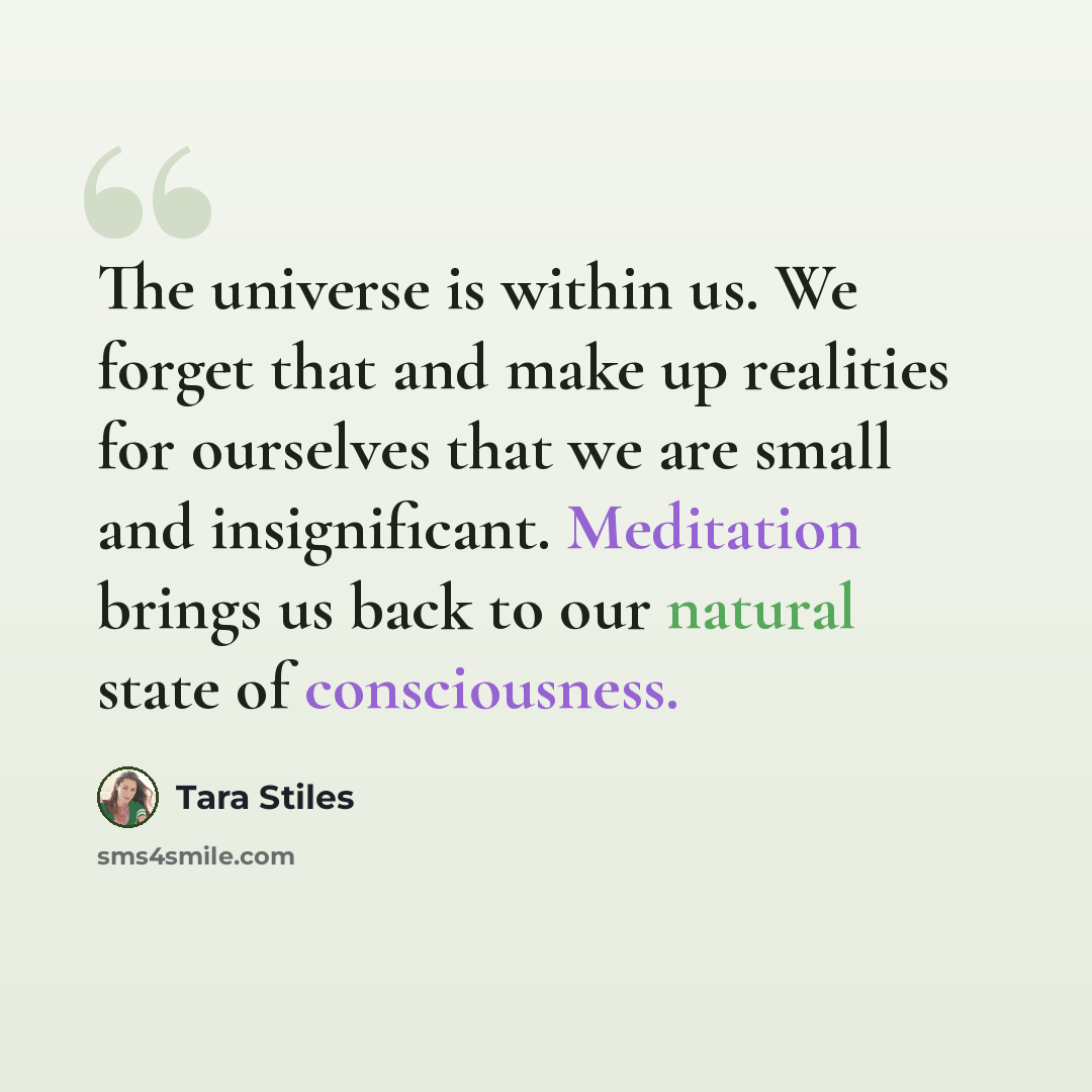 “The universe is within us. We forget that and make up realities for ourselves that we are small and insignificant. Meditation brings us back to our natural state of consciousness.” quote by Tara Stiles