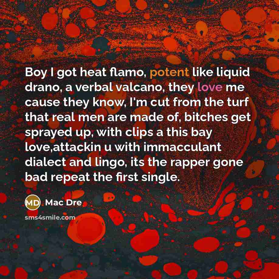 “Boy I got heat flamo, potent like liquid drano, a verbal valcano, they love me cause they know, I'm cut from the turf that real men are made of, bitches get sprayed up, with clips a this bay love,attackin u with immacculant dialect and lingo, its the rapper gone bad repeat the first single.” quote by Mac Dre