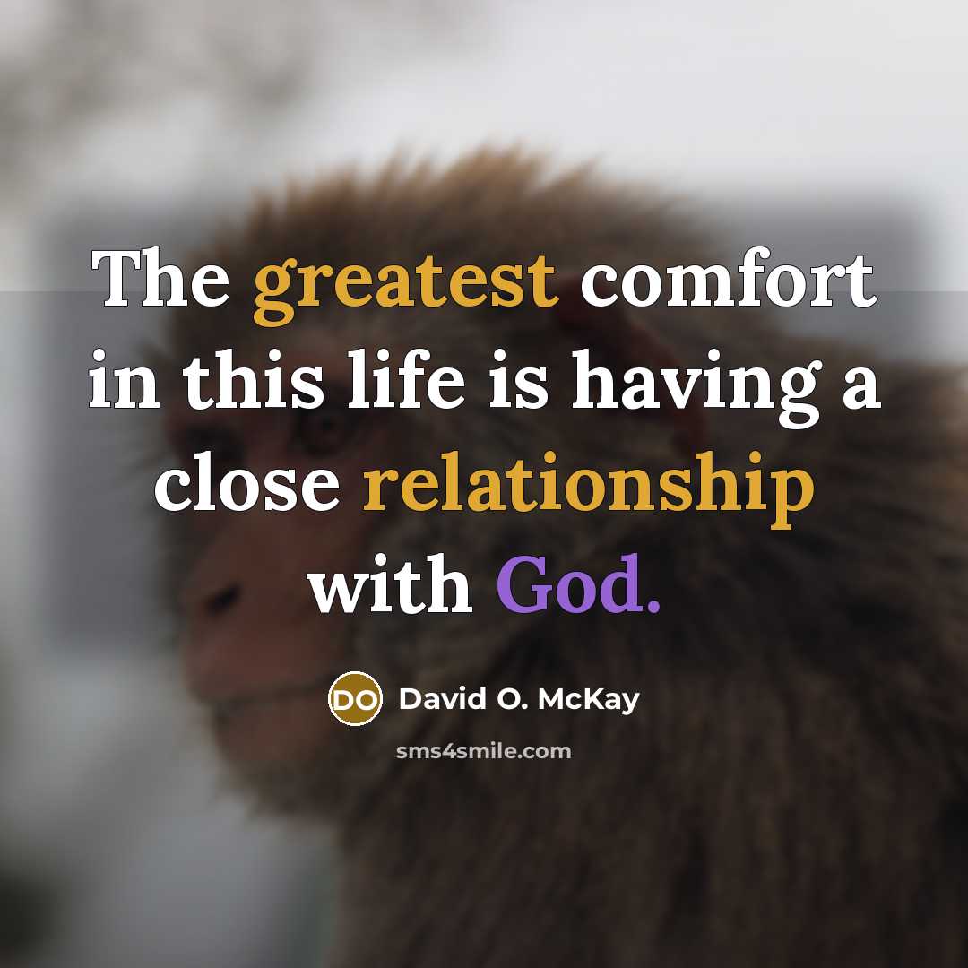 “The greatest comfort in this life is having a close relationship with God.” quote by David O. McKay