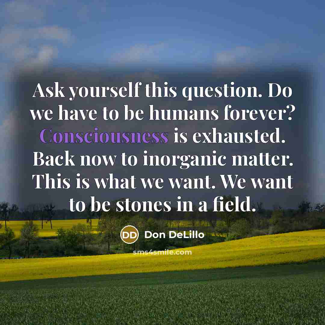 “Ask yourself this question. Do we have to be humans forever? Consciousness is exhausted. Back now to inorganic matter. This is what we want. We want to be stones in a field.” quote by Don DeLillo
