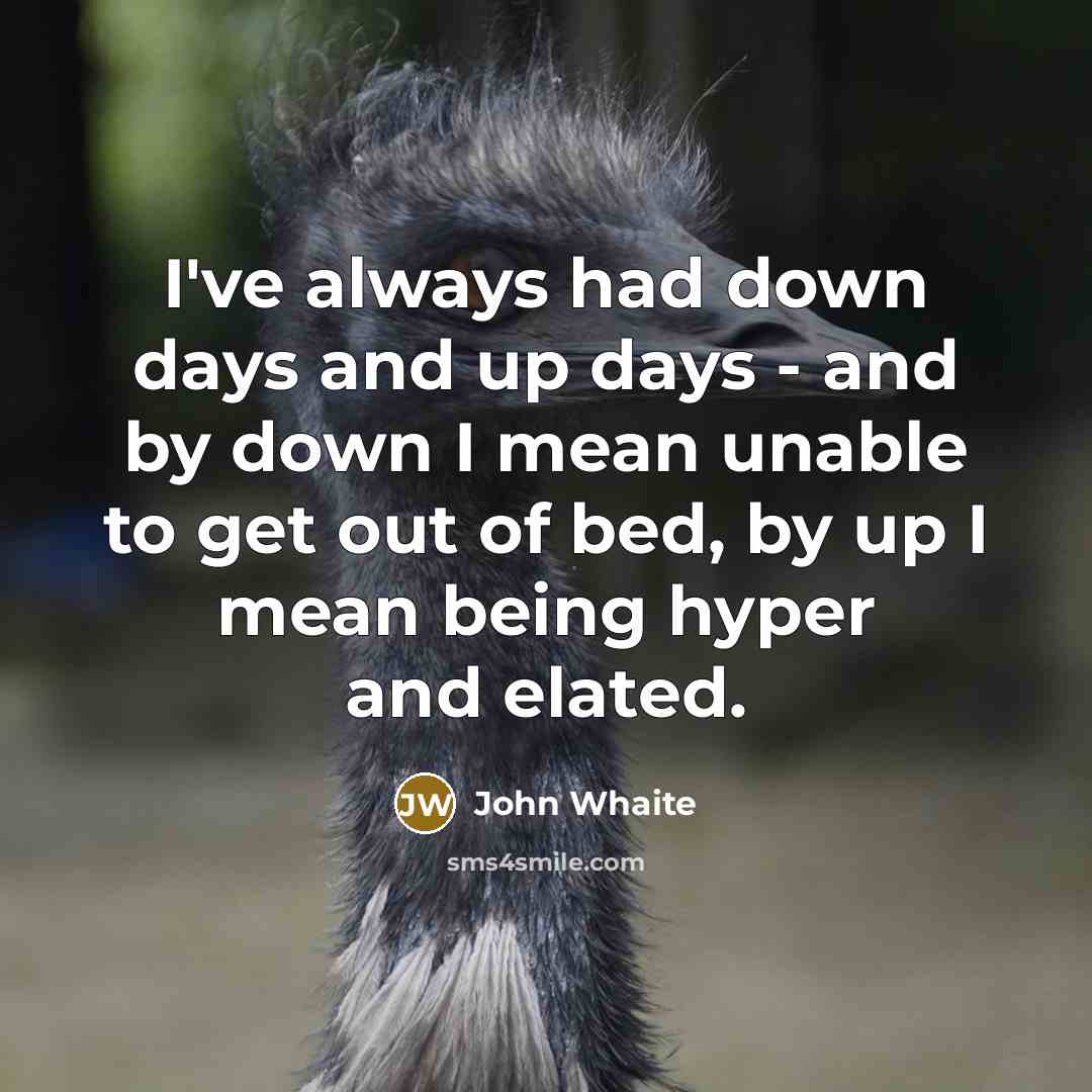 “I've always had down days and up days - and by down I mean unable to get out of bed, by up I mean being hyper and elated.” quote by John Whaite