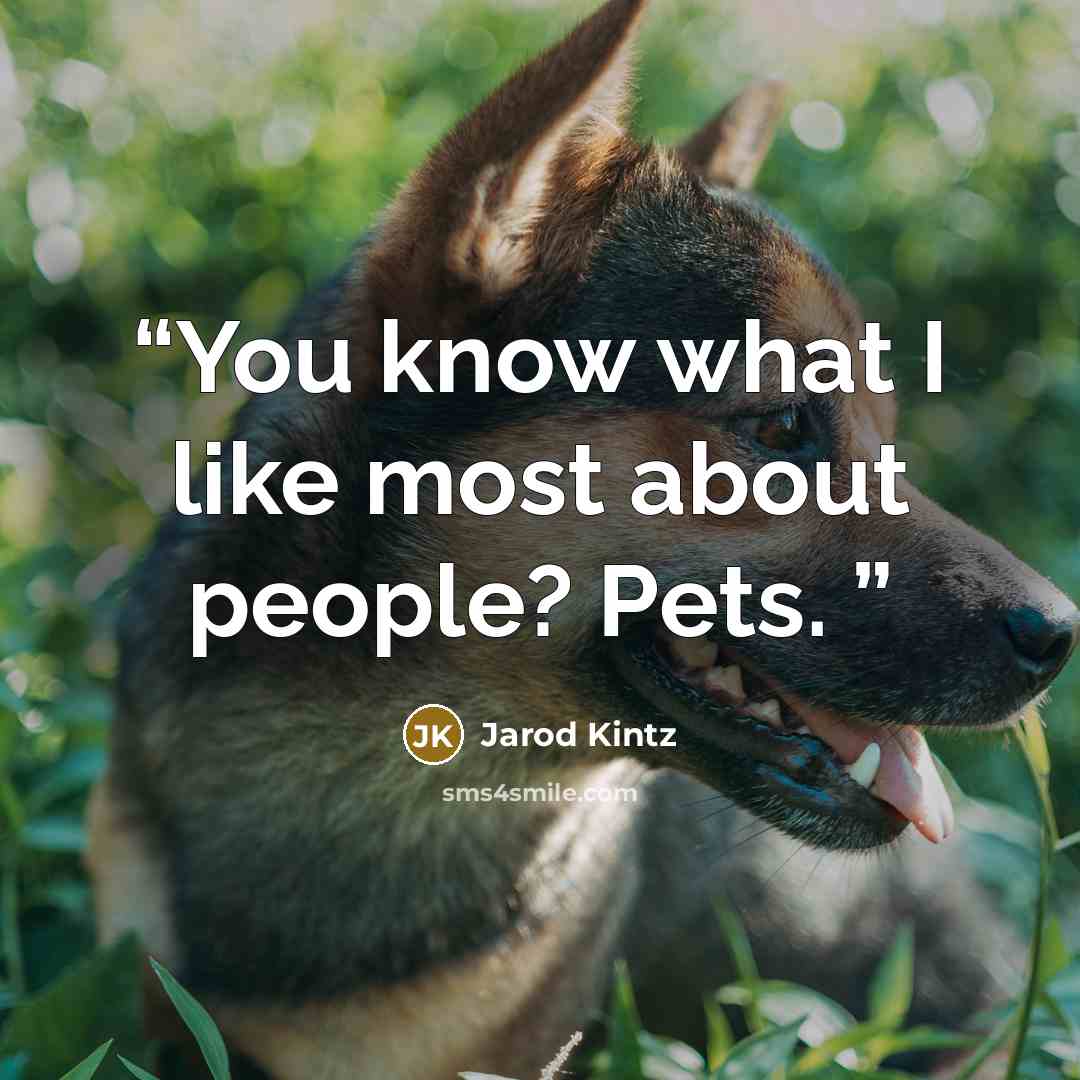 “You know what I like most about people? Pets.” quote by Jarod Kintz