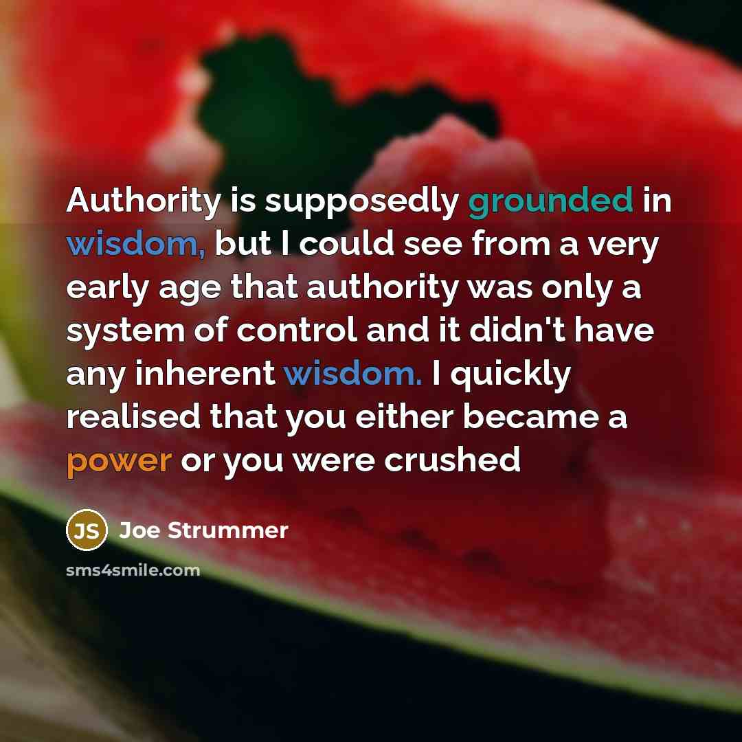 “Authority is supposedly grounded in wisdom, but I could see from a very early age that authority was only a system of control and it didn't have any inherent wisdom. I quickly realised that you either became a power or you were crushed” quote by Joe Strummer