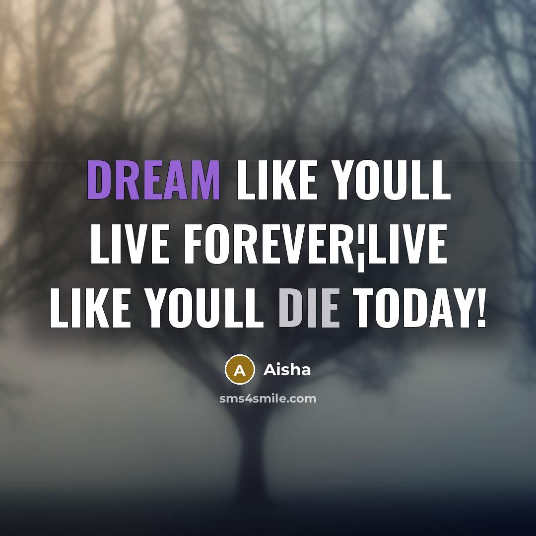 “Dream like youll live forever¦live like youll die today!” quote by Aisha