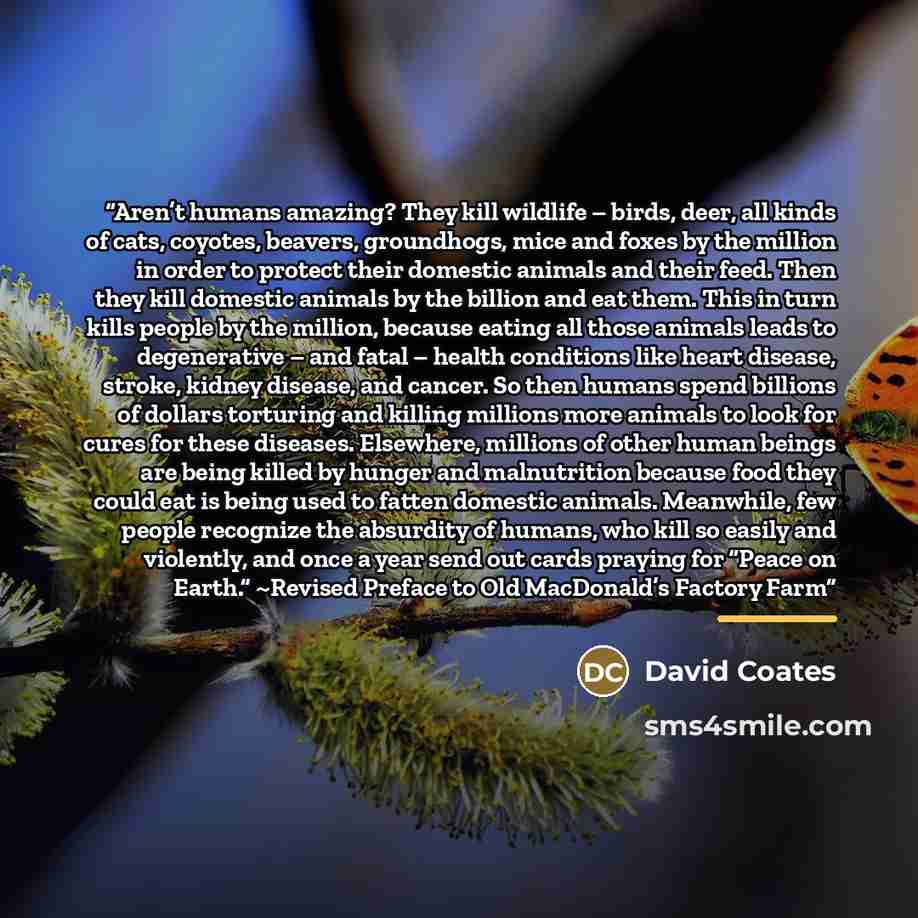 “Aren’t humans amazing? They kill wildlife – birds, deer, all kinds of cats, coyotes, beavers, groundhogs, mice and foxes by the million in order to protect their domestic animals and their feed. Then they kill domestic animals by the billion and eat them. This in turn kills people by the million…” quote by David Coates