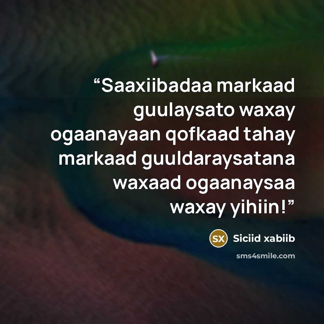 “Saaxiibadaa markaad guulaysato waxay ogaanayaan qofkaad tahay markaad guuldaraysatana waxaad ogaanaysaa waxay yihiin!” quote by siciid xabiib