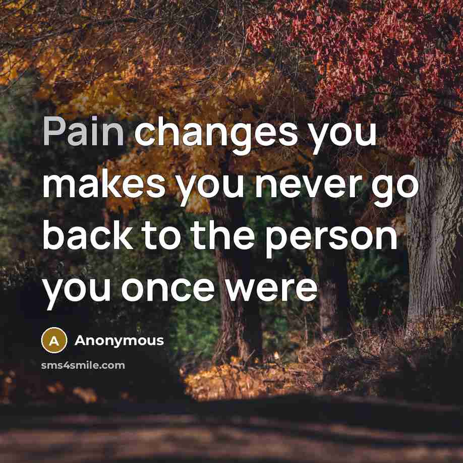 “Pain changes you makes you never go back to the person you once were” quote by Anonymous