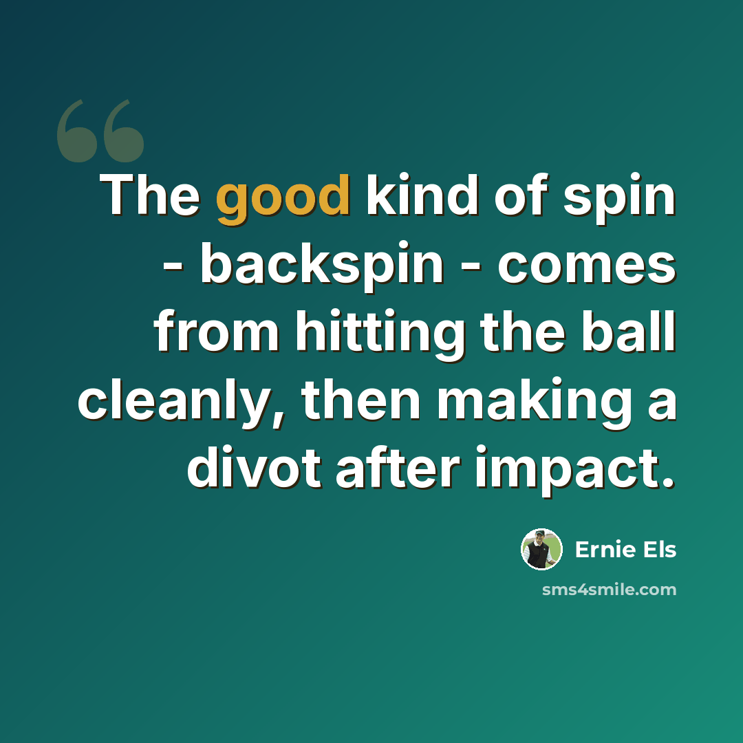 “The good kind of spin - backspin - comes from hitting the ball cleanly, then making a divot after impact.” quote by Ernie Els