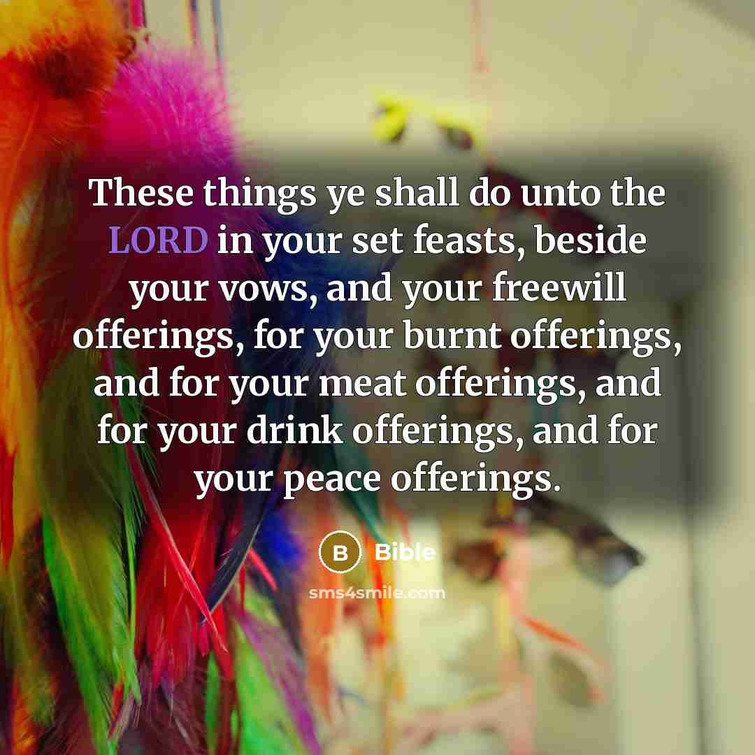“These things ye shall do unto the LORD in your set feasts, beside your vows, and your freewill offerings, for your burnt offerings, and for your meat offerings, and for your drink offerings, and for your peace offerings.” quote by Bible