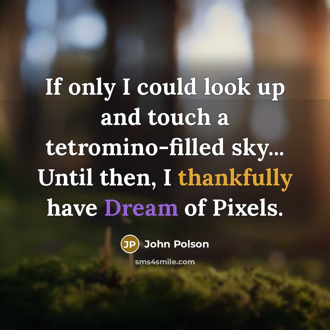“If only I could look up and touch a tetromino-filled sky... Until then, I thankfully have Dream of Pixels.” quote by John Polson