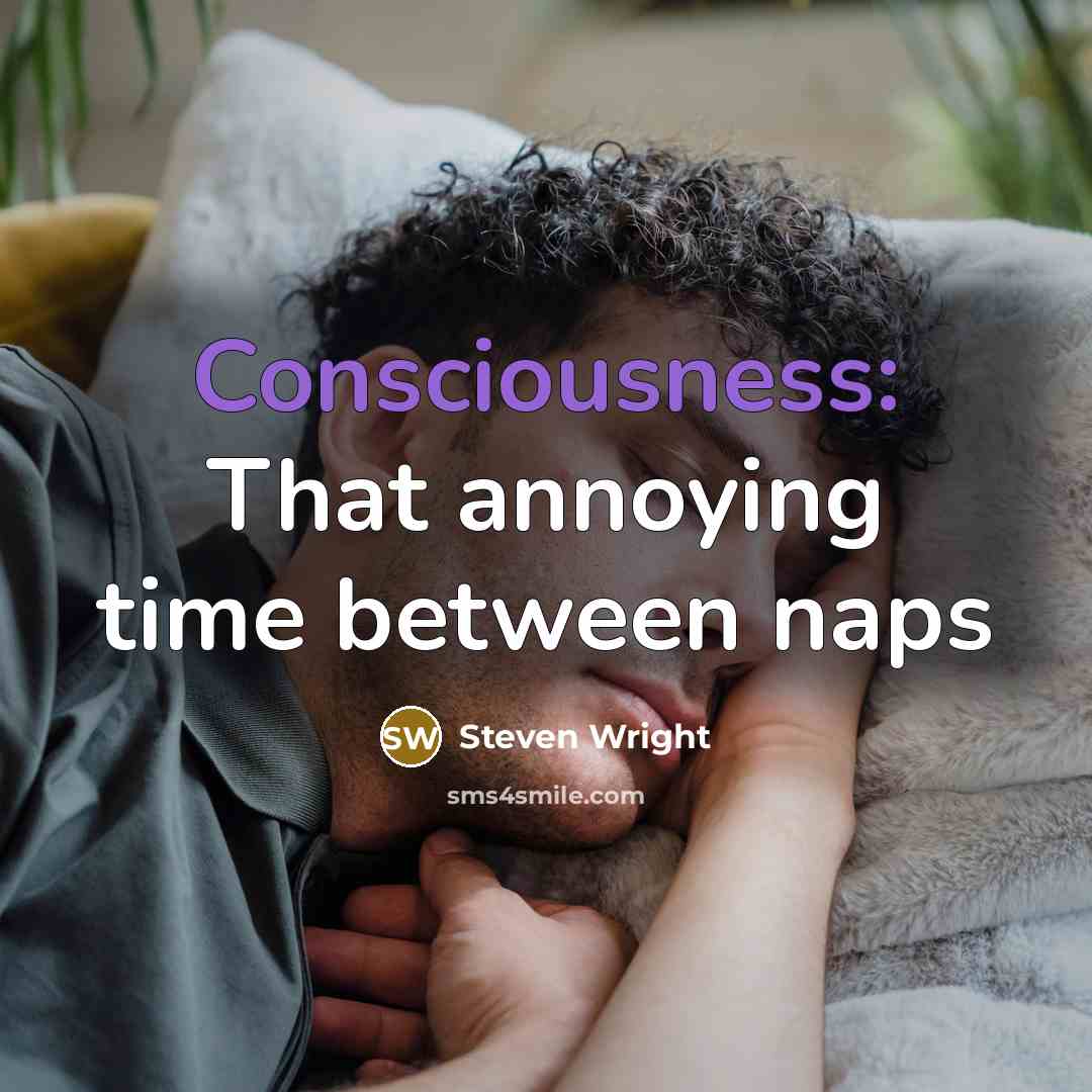 “Consciousness: That annoying time between naps” quote by Steven Wright