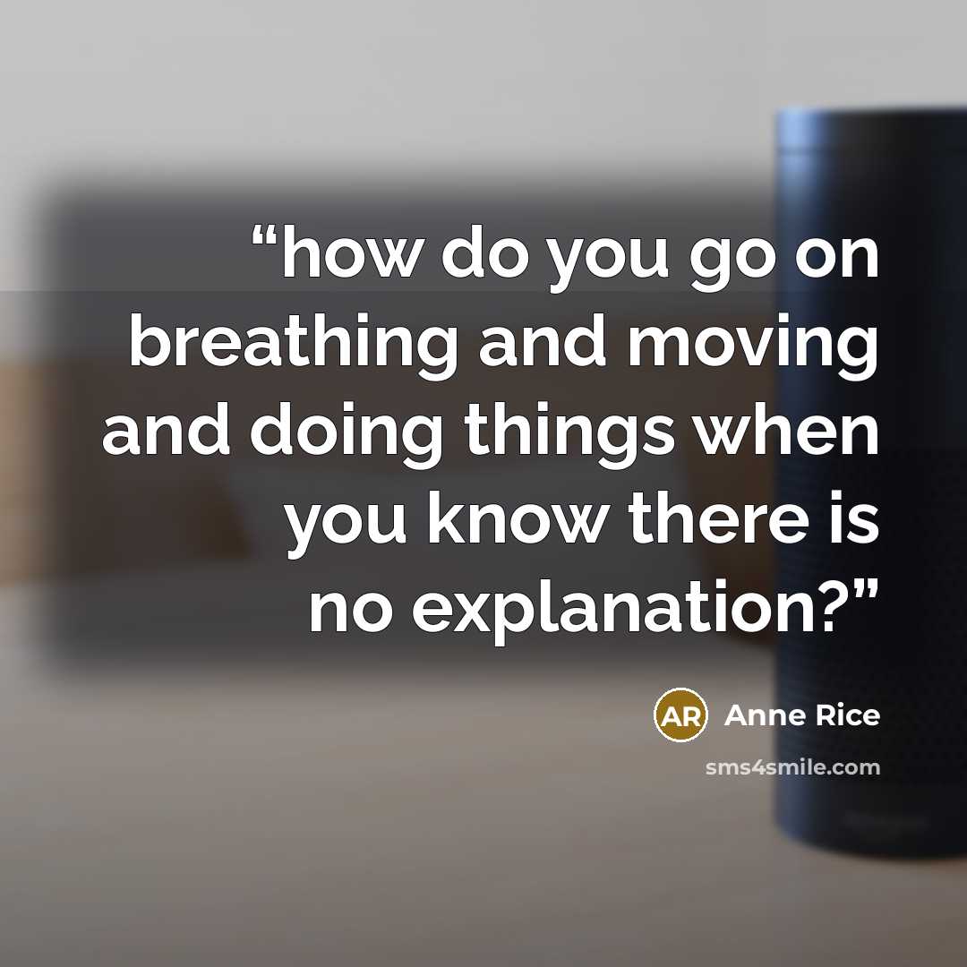 “how do you go on breathing and moving and doing things when you know there is no explanation?” quote by Anne Rice