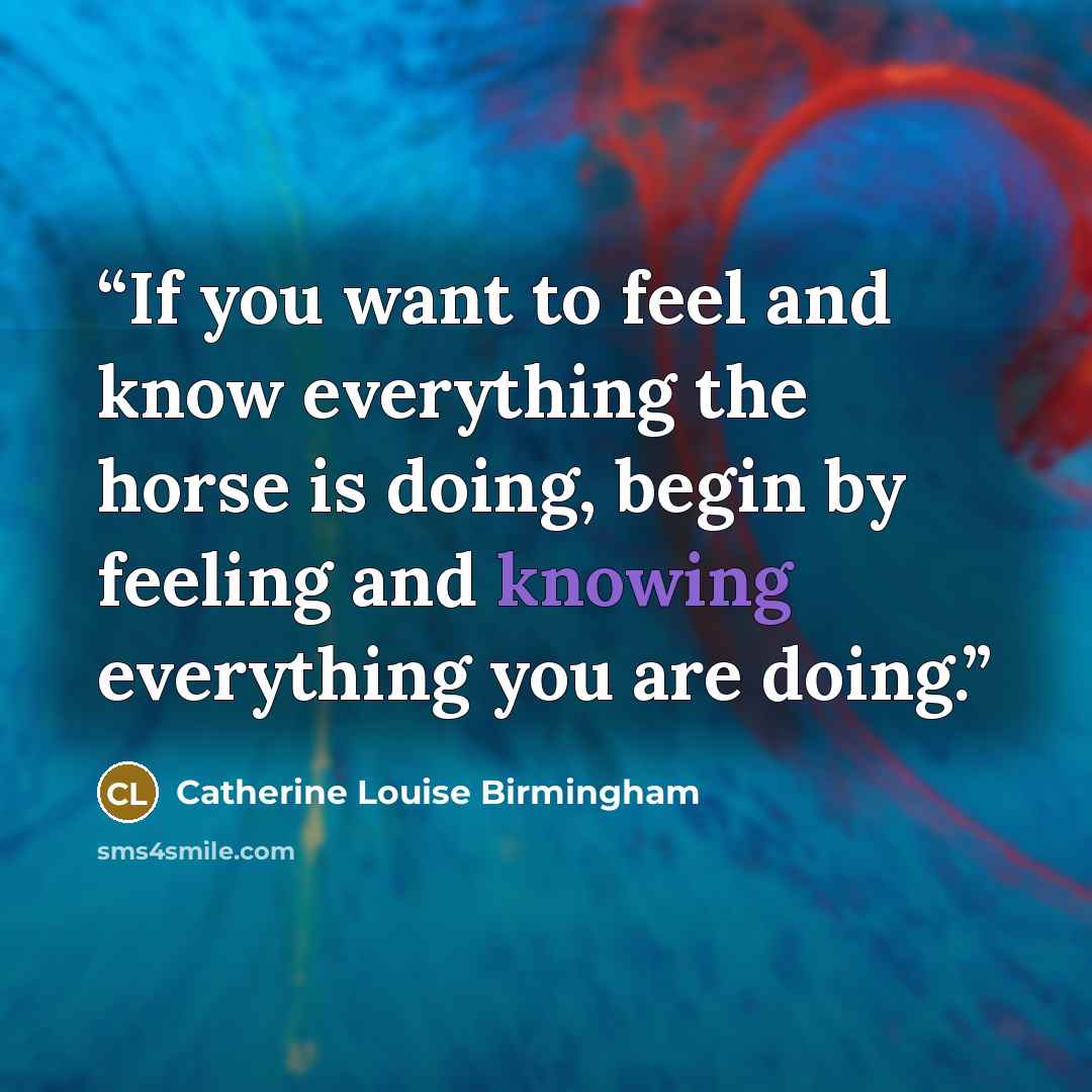 “If you want to feel and know everything the horse is doing, begin by feeling and knowing everything you are doing.” quote by Catherine Louise Birmingham