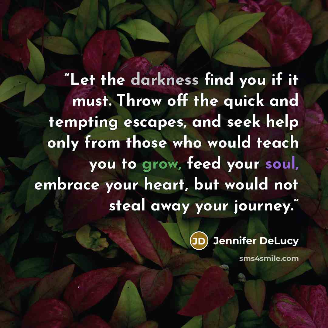 “Let the darkness find you if it must. Throw off the quick and tempting escapes, and seek help only from those who would teach you to grow, feed your soul, embrace your heart, but would not steal away your journey.” quote by Jennifer DeLucy
