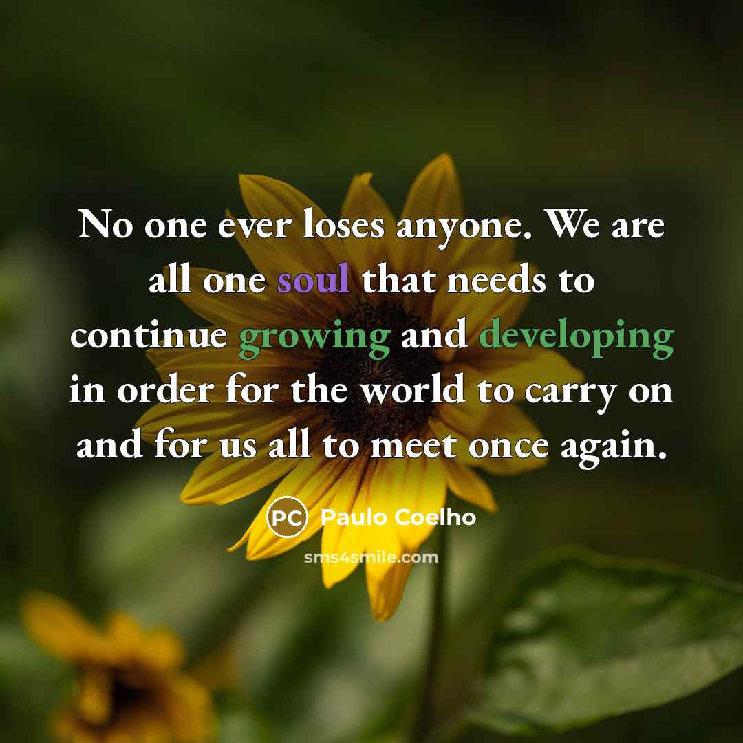 “No one ever loses anyone. We are all one soul that needs to continue growing and developing in order for the world to carry on and for us all to meet once again.” quote by Paulo Coelho