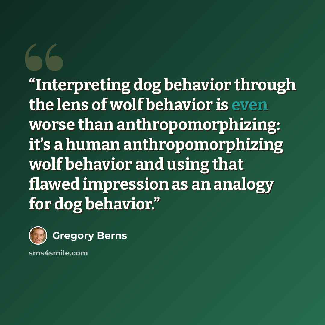 “Interpreting dog behavior through the lens of wolf behavior is even worse than anthropomorphizing: it’s a human anthropomorphizing wolf behavior and using that flawed impression as an analogy for dog behavior.” quote by Gregory Berns