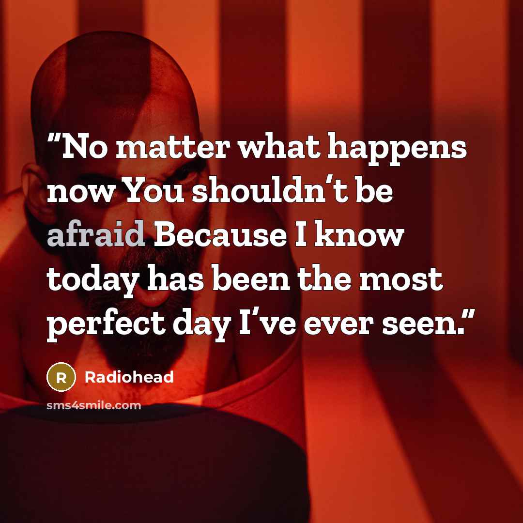 “No matter what happens now You shouldn’t be afraid Because I know today has been the most perfect day I’ve ever seen.” quote by Radiohead