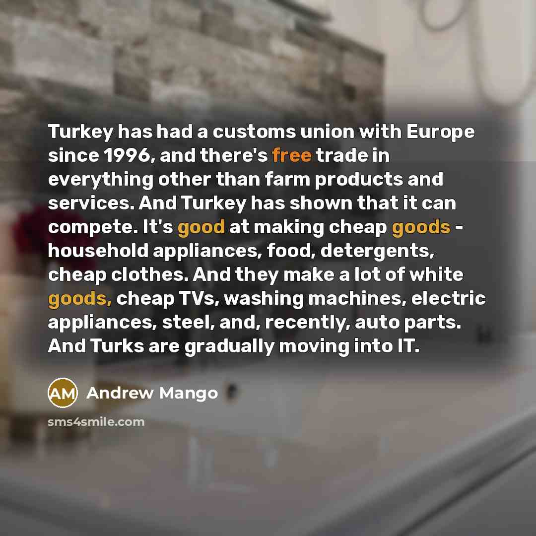 “Turkey has had a customs union with Europe since 1996, and there's free trade in everything other than farm products and services. And Turkey has shown that it can compete. It's good at making cheap goods - household appliances, food, detergents, cheap clothes. And they make a lot of white goods…” quote by Andrew Mango