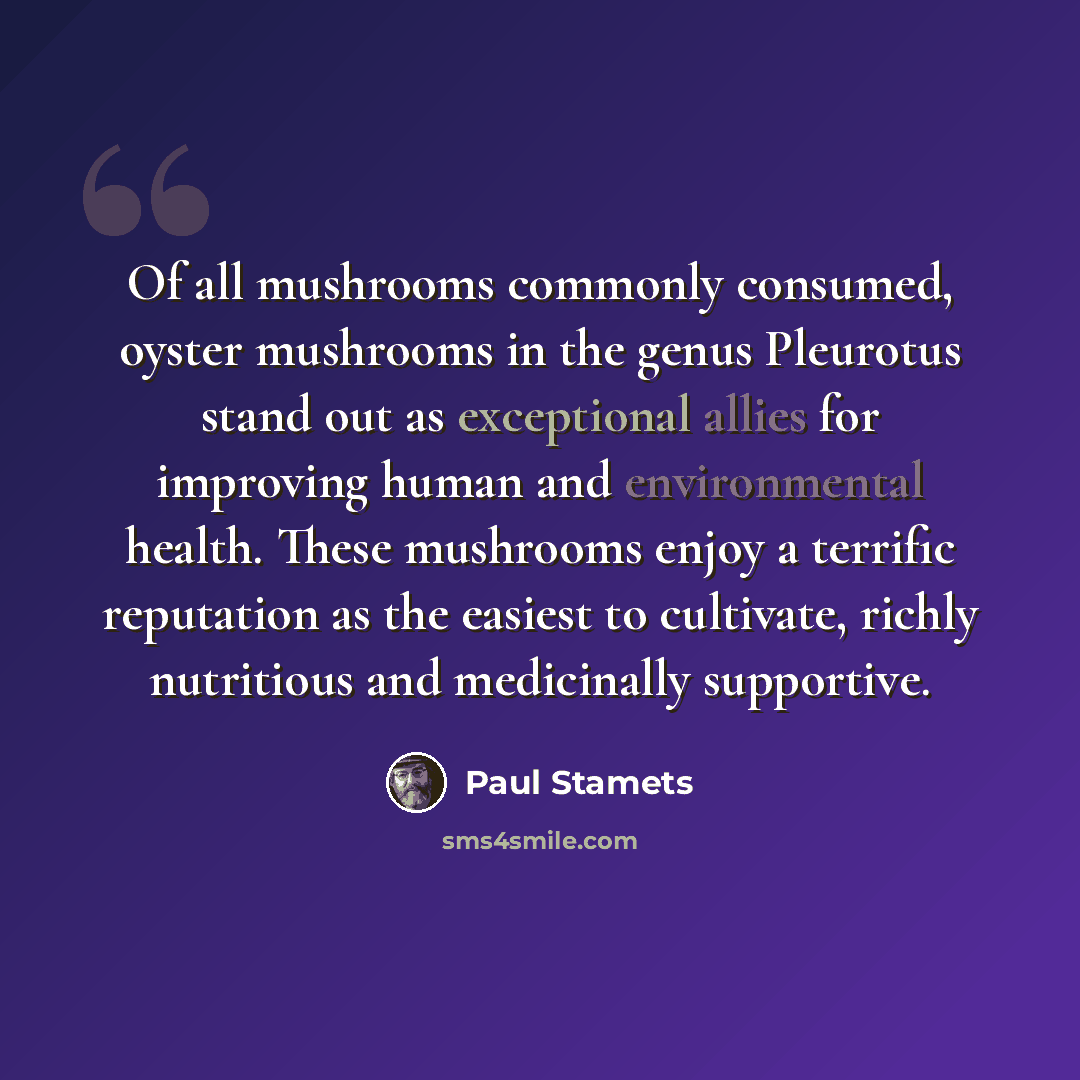 “Of all mushrooms commonly consumed, oyster mushrooms in the genus Pleurotus stand out as exceptional allies for improving human and environmental health. These mushrooms enjoy a terrific reputation as the easiest to cultivate, richly nutritious and medicinally supportive.” quote by Paul Stamets