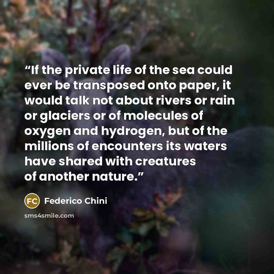 “If the private life of the sea could ever be transposed onto paper, it would talk not about rivers or rain or glaciers or of molecules of oxygen and hydrogen, but of the millions of encounters its waters have shared with creatures of another nature.” quote by Federico Chini